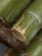 УЦЕНКА Дерево искусственное «Бамбук тропический» 180 см - Фото 8