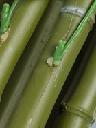 УЦЕНКА Дерево искусственное «Бамбук тропический» 180 см - Фото 10