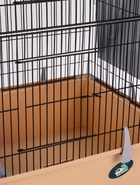 УЦЕНКА Клетка для шиншиллы «Пижон» №10, разборная, 58×40×88, бежевая - Фото 5