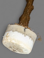 УЦЕНКА Дерево искусственное «Ива» в горшке, 150 см 10927998