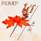 УЦЕНКА Декор на палочке "Осень" 8х20х30 см - Фото 2