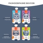 Wanpy Cat Лакомство для кошек Мясной мусс из курицы и моркови 90 г 10916464 - фото 842842