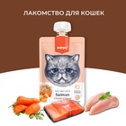 Wanpy Cat Лакомство для кошек Мясной мусс из лосося и курицы с морковью 90 г 10916465 - фото 842843
