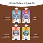 Wanpy Cat Лакомство для кошек Мясной мусс из лосося и курицы с морковью 90 г 10916465 - фото 842845