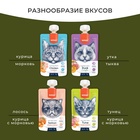 Wanpy Cat Лакомство для кошек Мясной мусс из тунца и курицы с морковью  90 г 10916466 - фото 842848