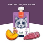 Wanpy Cat Лакомство для кошек Мясной мусс из утки и тыквы 90 г 10916467 - фото 842849