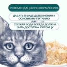 Wanpy Cat Пауч для кошек из курицы и гребешка 85 г 10916468 - фото 842854