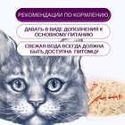 Wanpy Cat Пауч для кошек из курицы и краба 85 г 10916469 - фото 842858