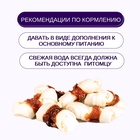 Wanpy Dog кости из сыромятной кожи с утиным мясом 100 г 10916476 - фото 842882
