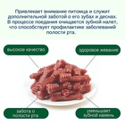 Wanpy Dog Лакомство для собак "Зубные щетки со вкусом говядины" 100 г 10916482 - фото 842906