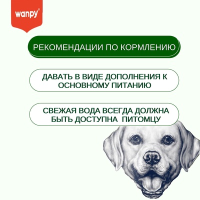 Wanpy Dog Лакомство для собак «Зубные щетки со вкусом говядины» 100 г