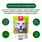 Wanpy Dog Лакомство для собак "Зубные щетки со вкусом курицы" 100 г 10916483 - фото 842911