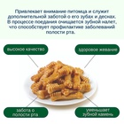Wanpy Dog Лакомство для собак "Зубные щетки со вкусом курицы" 100 г 10916483 - фото 842912