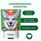 Wanpy Dog Сублимированное лакомство для собак "Куриная печень" 40 г 10916495 - фото 842940
