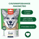 Wanpy Dog Сублимированное лакомство для собак "Утиная грудка" 40 г 10916496 - фото 842946