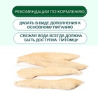 Wanpy Dog Сублимированное лакомство для собак "Утиная грудка" 40 г 10916496 - фото 842949