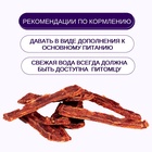 Wanpy Dog филе из оленины 100 г 10916498 - фото 842962