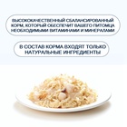 Wanpy Cat Консервы для кошек "Курица с гребешком" 95 г 10916499 - фото 842965