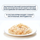 Wanpy Cat Консервы для кошек "Курица с треской" 95 г 10916502 - фото 842972