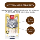 Wanpy Cat Лакомство для кошек «нежное пюре» из курицы 70 г 10916511 - фото 843002