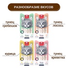 Wanpy Cat Лакомство для кошек «нежное пюре» из курицы 70 г 10916511 - фото 843005