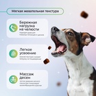Favet Функциональное лакомство MultivitaminDog Soft Chews для кожи и шерсти для собак, 120г   109165 10916516 - фото 843036