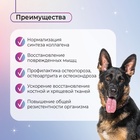 Favet Функциональное лакомство PetPantel Soft Chews для мышц и суставов для собак, 120 г - Фото 3