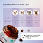 Favet Функциональное лакомство PetPantel Soft Chews для мышц и суставов для собак, 120г 10916517 - фото 843042