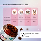 Favet Функциональное лакомство SuperFlora Soft Chews для пищеварительной системы для собак, 120г   1 10916518 - фото 843049