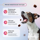 Favet Функциональное лакомство SuperFlora Soft Chews для пищеварительной системы для собак, 120г   1 10916518 - фото 843050
