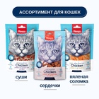 Wanpy Cat Лакомство для кошек «сердечки» из курицы с треской 80 г 10916462 - фото 845773