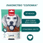 Wanpy Dog соломка из мяса ягненка 100 г 10916492 - фото 845787