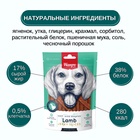 Wanpy Dog соломка из мяса ягненка 100 г 10916492 - фото 845790