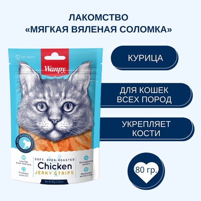 Wanpy Cat Лакомство для кошек «Мягкая вяленая соломка» из курицы 80 г