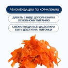 Wanpy Cat Лакомство для кошек «мягкая вяленая соломка» из курицы 80 г 10916509 - фото 845803