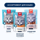 Wanpy Cat Лакомство для кошек «мягкая вяленая соломка» из курицы 80 г 10916509 - фото 845804
