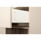 Комод Тайл 16.236, 990х396х1004, Сатин/Эмили блаш - фото 14901851