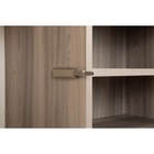 Комод Тайл 16.236, 990х396х1004, Сатин/Эмили блаш - фото 14901853