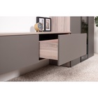 Тумба под ТВ «Роквуд 16.54.01», 768×368×320 мм, цвет эмили блаш/графит мягкая шагрень - Фото 2