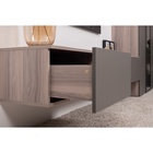 Тумба под ТВ «Роквуд 16.54.02», 1153×368×320 мм, цвет эмили блаш/графит мягкая шагрень - Фото 3