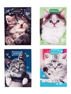 Набор блокнотов А6 24л кл на скобе Котята, мел карт, 4В 20шт - фото 809640762