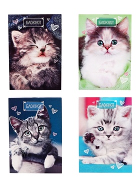 Набор блокнотов А6 24л кл на скобе Котята, мел карт, 4В 20шт