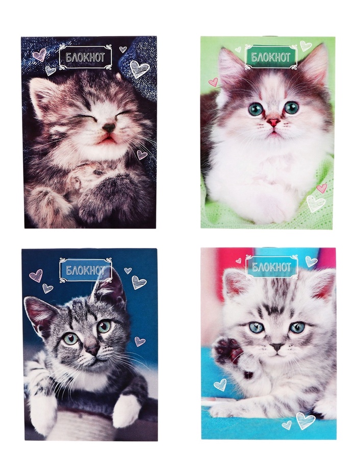 Набор блокнотов А6 24л кл на скобе Котята, мел карт, 4В 20шт