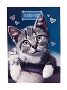 Набор блокнотов А6 24л кл на скобе Котята, мел карт, 4В 20шт - фото 809640765