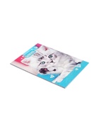 Набор блокнотов А6 24л кл на скобе Котята, мел карт, 4В 20шт - фото 809640767