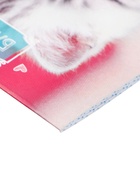 Набор блокнотов А6 24л кл на скобе Котята, мел карт, 4В 20шт - фото 809640768