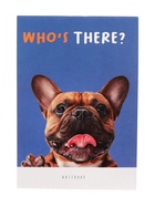 Набор блокнотов А6 32л кл на скобе Кто здесь?, мел карт, бл офс, 4В 20шт - Фото 4