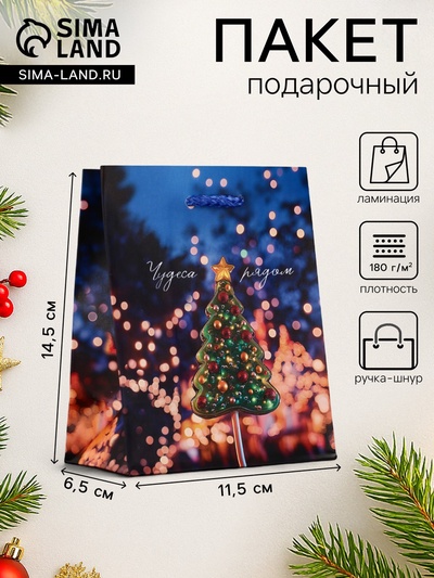 Пакет подарочный новогодний ламинированный, «Чудеса рядом», 11.5×6.5×14.5 см