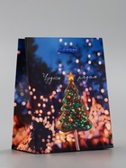 Пакет подарочный новогодний ламинированный, «Чудеса рядом», 11.5?6.5?14.5 см (комплект 4 шт) - фото 53887449