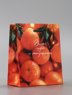 Пакет подарочный новогодний ламинированный, «Новогодние мандарины», 11.5?6.5?14.5 см (комплект 4 шт) - фото 53887453